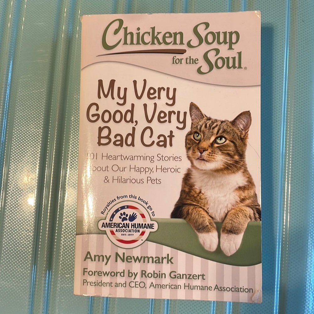 Chicken Soup for the Soul My Very Good, Very Bad Cat